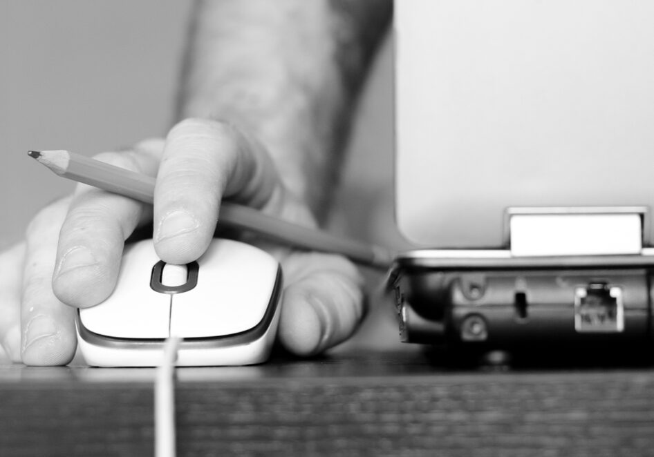 Rogue Web Design Our Experience